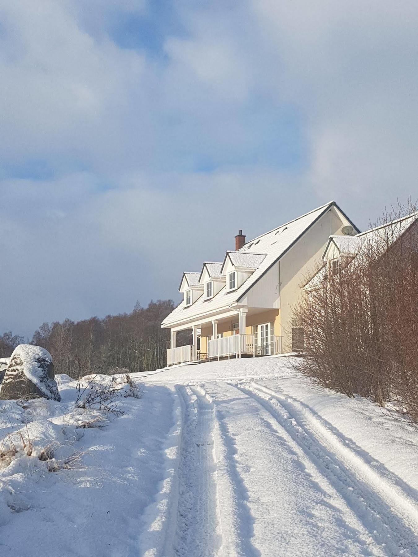 The Highlander Bed & Breakfast Inverness Exterior photo