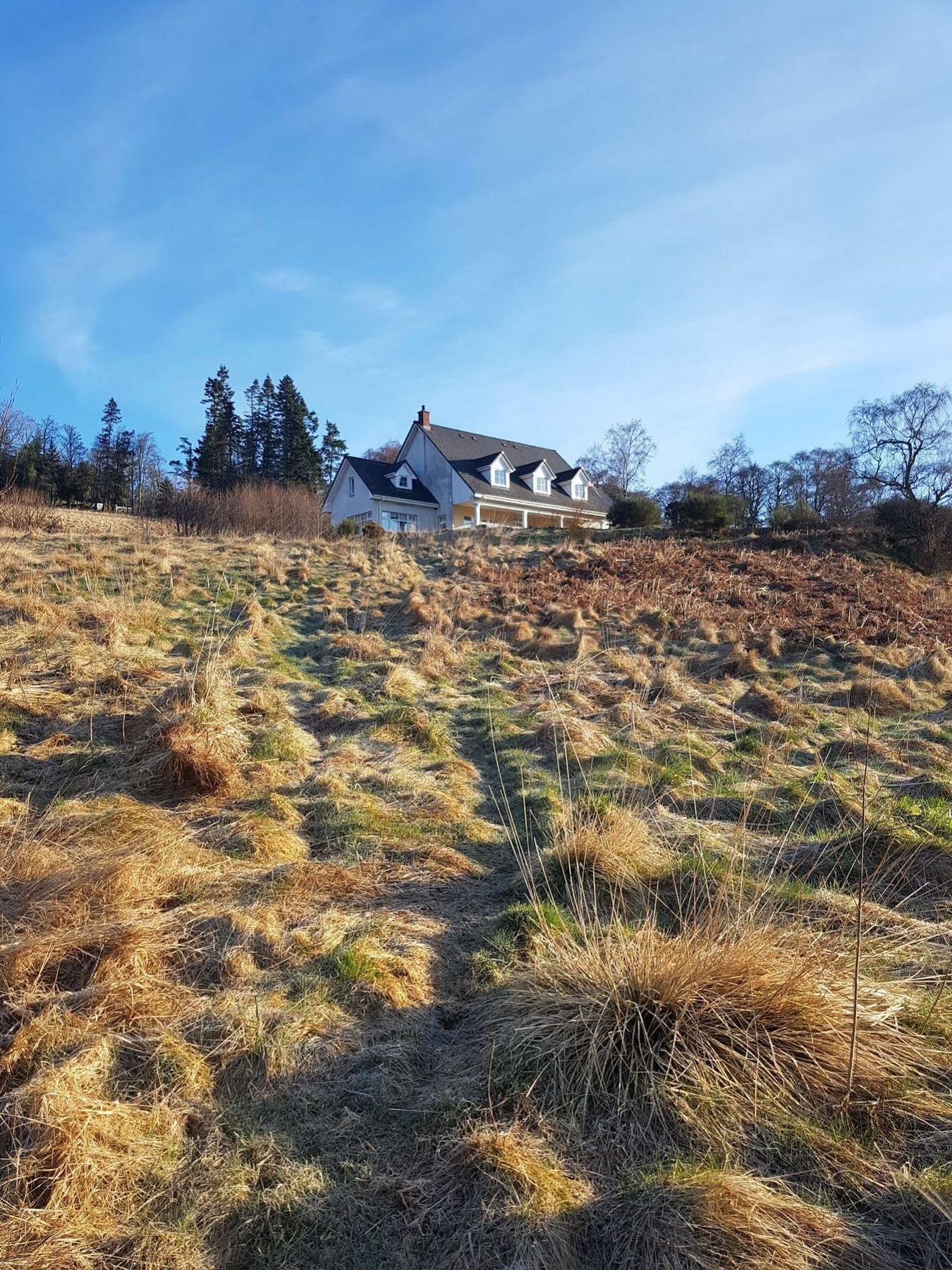 The Highlander Bed & Breakfast Inverness Exterior photo